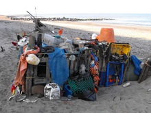 Leben am Strand - Bild 1