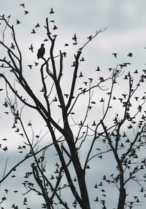 In der Ruhe liegt die Kraft