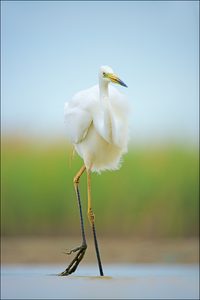 auf dem Catwalk