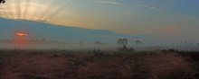 Morgenröte in der Lüneburger Heide