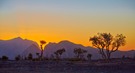 Jebel Shams Plateau