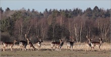 "Kleine Männerrunde von heute morgen"....