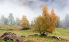 Landschaft im Morgennebel