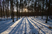 März 2013 im sächsischen Tiefland