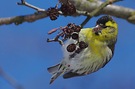 Wann kommt der Frühling?