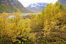 Herbst in Norwegen