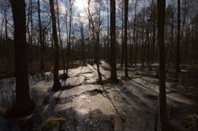 Vorfrühling im April