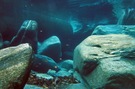 Unterwasserlandschaft im Gebirgsbach