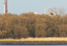 Auf der Rückfahrt vom kalten , sonnigen Helgoland,