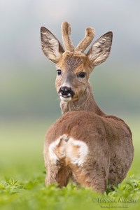 Den Blick zurück...