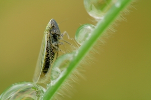 Verborgene Welten...
