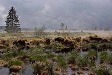 Nach Schnee- und Graupelschauer 23.5.13 Eifel