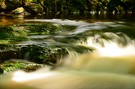 Wieder einmal an der Hoegne (Ardennen)....und dann brach die Sonne durch ! ;-)