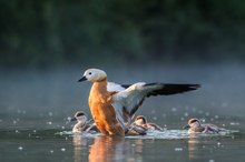 Ausflug der Familie Rost