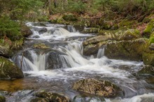 An der kleinen Ohe