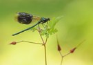 Geboren am 30. Mai 2013