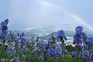 Nach anfänglichem Nebel, Regen und Hagel