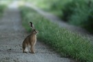 Viel Glück auf deinem Weg!