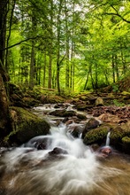 Tief im Schwarzwald...