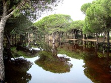 Spiegelungen in Andalusien