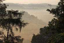 Feldsteine im Morgennebel