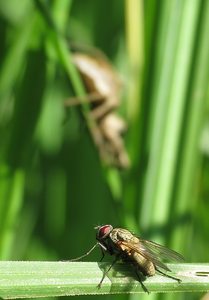 Big Brother is watching you