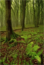 Als wir noch über den Regen schimpften ...