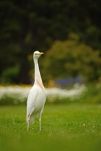 Besuch im Park