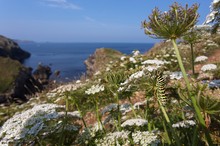 Mit Blick auf Pointe du Raz