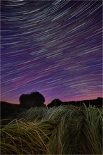 Startrails