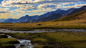 Ladakh - Vor dem letzten Aufstieg II