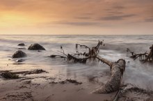 Strandgut Travemünde