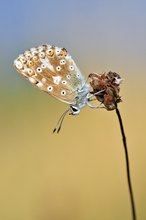 Die Flugzeit geht langsam zu Ende ....