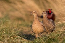 Familienausflug in der Abendsonne