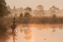 Morgen in Sepia