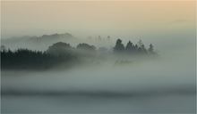 Guten Morgen Vulkaneifel!