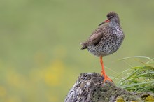 Begegnung im Regen