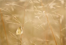 Im Herbst des Lebens