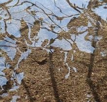 es schmückt sich das Wasser