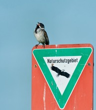 Ein Hohellied auf den Naturschutz...