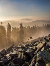 Kösseine im Morgenlicht