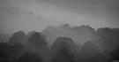 Nebel