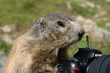 digitaler Fotoworkshop-letzter Teil