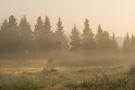 Bei Sonnenaufgang