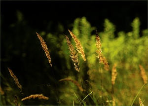 Abschied vom Sommer