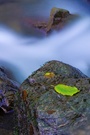 Wasser