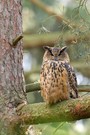 Besuch bei einer alten Bekannten