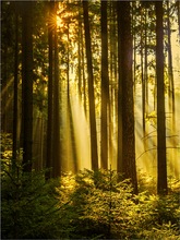 Goldener Oktober