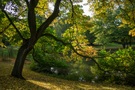 Herbststimmung