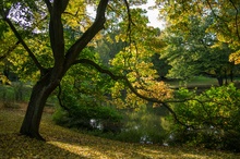 Herbststimmung